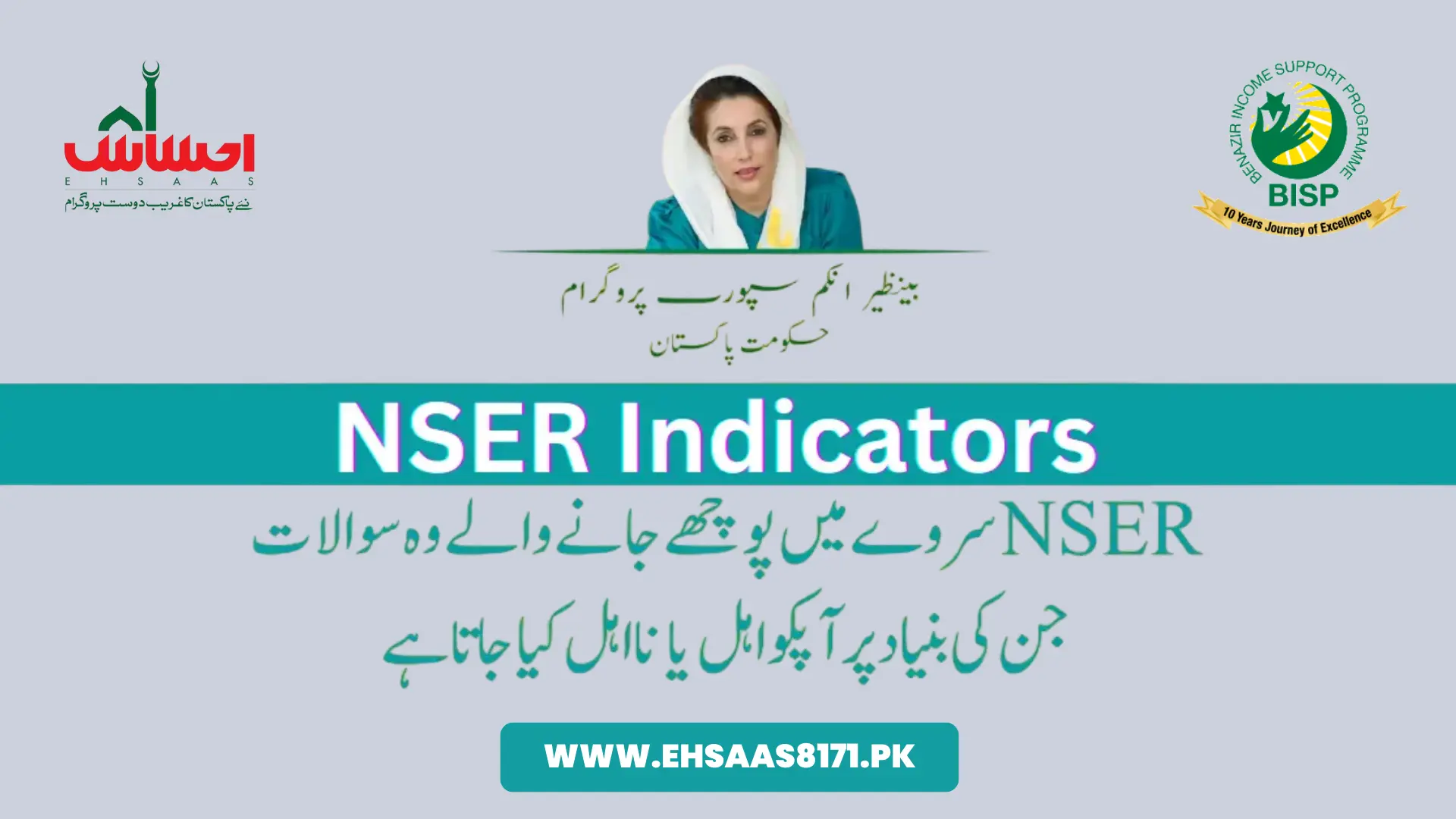 NSER Indicators