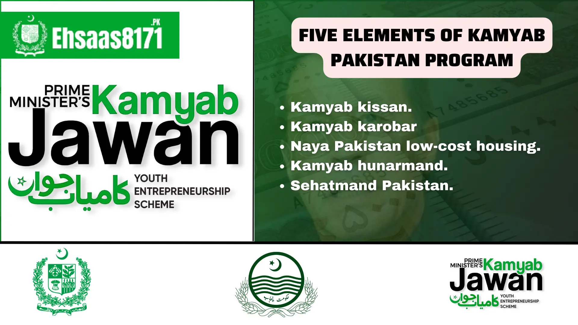 Five elements of Kamyab Pakistan program