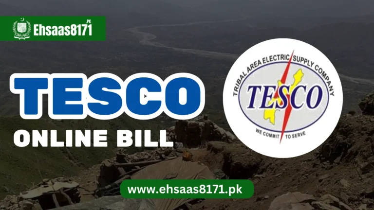 TESCO Online Bill 2024 – Check, Download Duplicate Bill