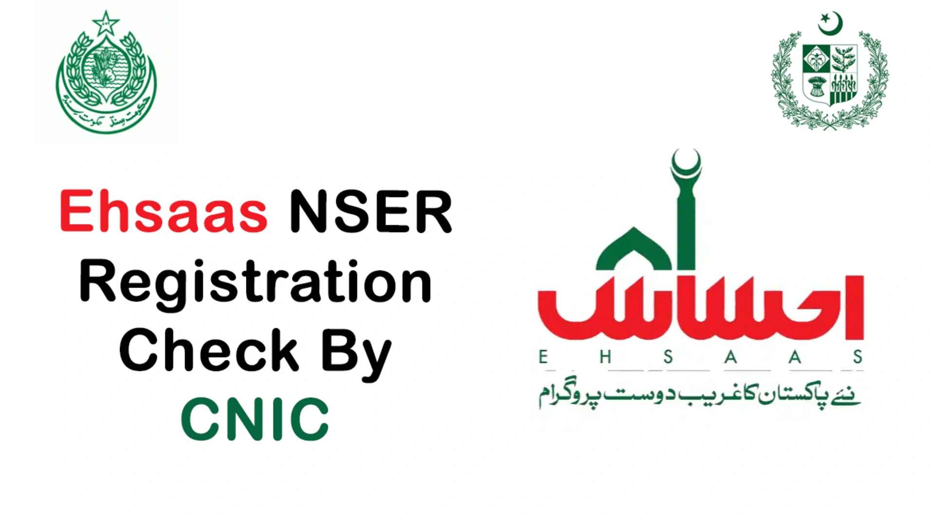 NSER Survey – Checking Ehsaas Program Eligibility Online