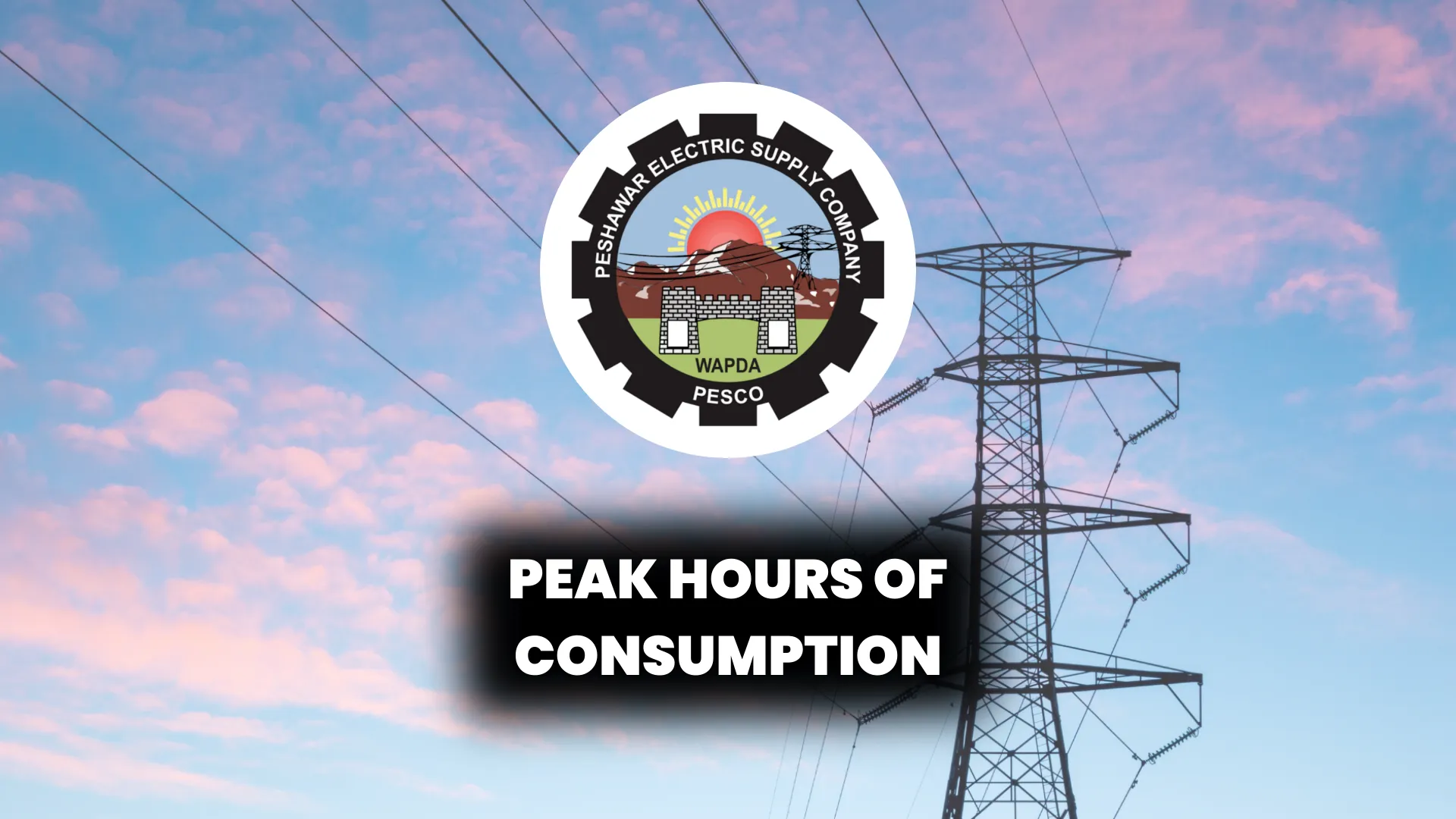 Peak hours of consumption