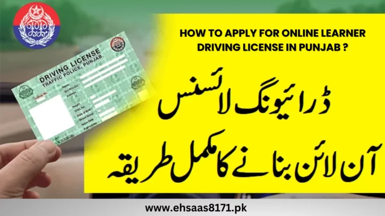 Punjab DLIMS 2.0: How To Get A Driving Learner License Online